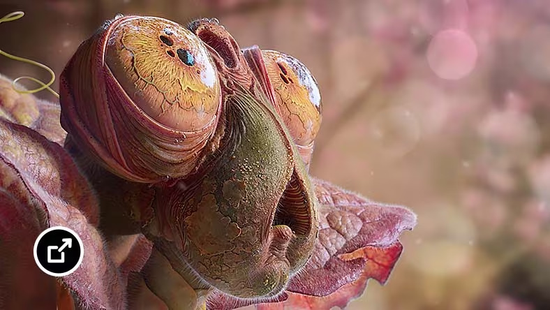 autodesk-me-scale-rendering autodesk-me-scale-rendering